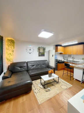 Newly renovated spacious 2 bedroom unit in HBC #1